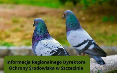 Zdjęcie do  Informacja Regionalnego Dyrektora Ochrony Środowiska w Szczecinie