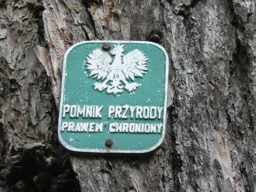 pomnik