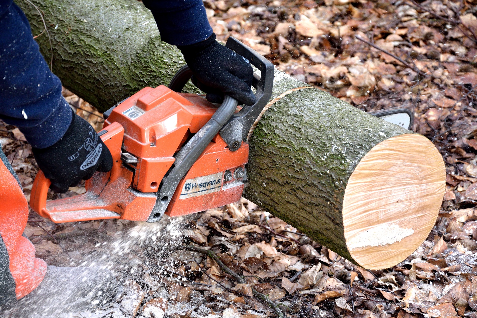 cutting-wood-2146507_1920