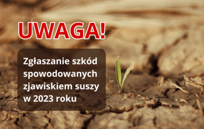 Zdjęcie do Jak złożyć wniosek o oszacowanie szk&oacute;d w uprawach rolnych z tytułu suszy w 2023 r.