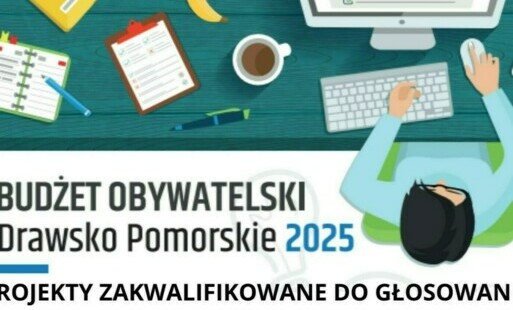 Zdjęcie do LISTA PROJEKT&Oacute;W ZAKWALIFIKOWAYCH  DO GŁOSOWANIA