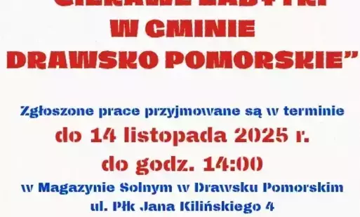 Zdjęcie do Konkurs plastyczny &bdquo;CIEKAWE ZABYTKI W GMINIE DRAWSKO POMORSKIE&rdquo;