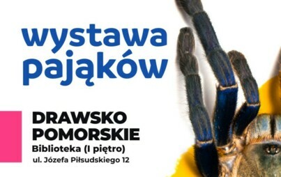 Zdjęcie do Wystawa Pająk&oacute;w